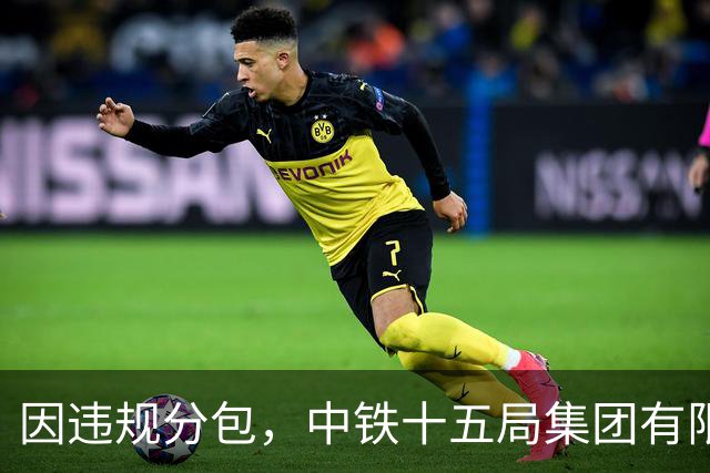 因违规分包，中铁十五局集团有限公司被暂停全军物资工程服务采购
